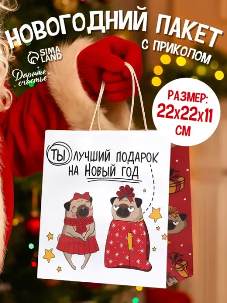 Сима-Ленд & Дарите Счастье Подарочный новогодний пакет крафтовый с приколом
