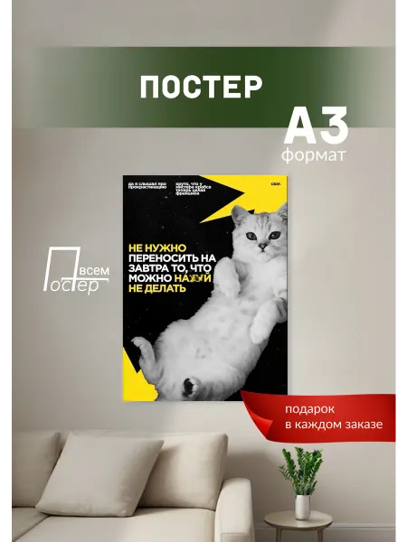 Постер всем Постер на стену Котик философ