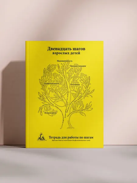 Двенадцать шагов взрослых детей