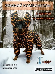 Зимний комбинезон Мыши для собак с шапкой в комплекте