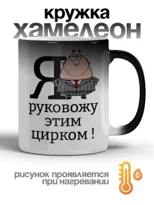 Кружка хамелеон Я руковожу этим цирком, 1 шт, 330 мл