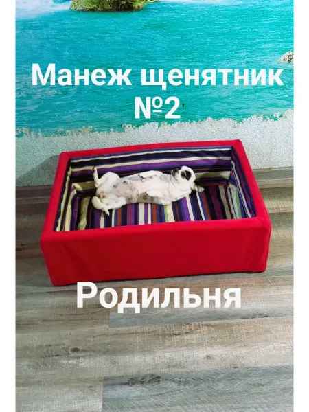 Манеж для щенков №2 родильня