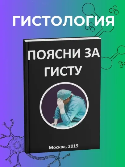 Поясни за гисту, Эдгар Аганян