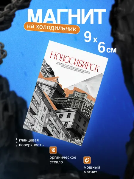 Стильный магнит на холодильник (Новосибирск)