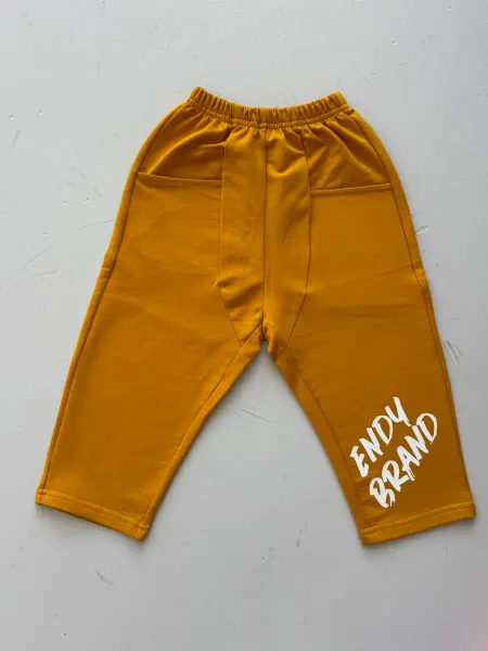 EndyBrand детские брюки багги