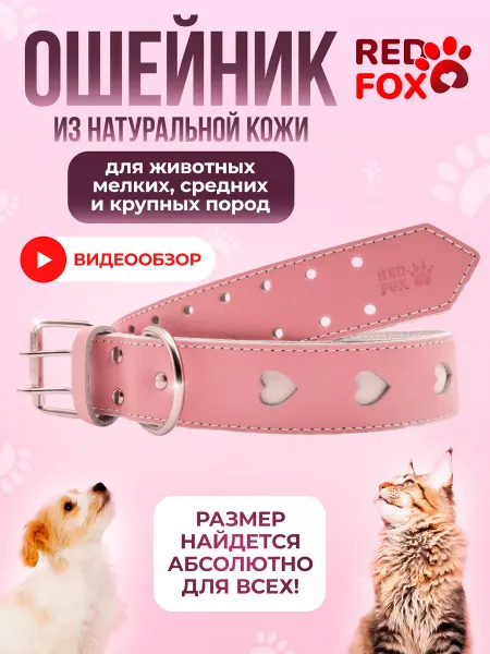 _RedFOX_ Ошейник для собак кошек мелких средних крупных пород кожаный