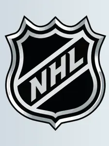 Термонаклейка на одежду NHL