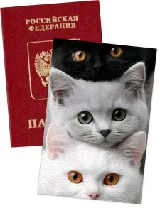Обложка на паспорт с котятами