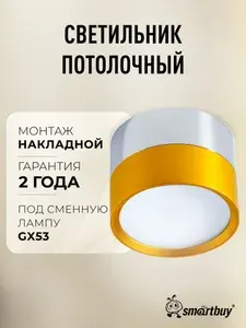 Светильник потолочный / Спот TS TS2004 82x60 мм накладной под лампу GX53 (SBL-TS2004-GX53-gc), серебро-хром