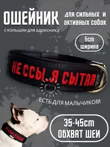 Ошейник "Не ссы, я сытая". Размер 35-45см. Широкий на пряжке, усиленный, для средних и крупных собак, с вышивкой. Для прогулок, дрессировки, спорта. Чёрный с красным. Ширина 5см