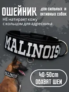 Ошейник с вышивкой "MALINOIS". Размер 40-50см. Широкий на пряжке, усиленный, для средних и крупных собак. Для прогулок, дрессировки, спорта. Чёрный. Ширина 5см. Малинуа