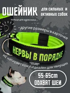 Ошейник с вышивкой "Нервы в порядке". Размер 55-65см. Широкий на пряжке, усиленный, для средних и крупных собак. Для прогулок, дрессировки, спорта. Ширина 5см