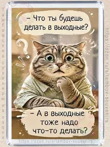 Магнит на холодильник "В выходные работать"