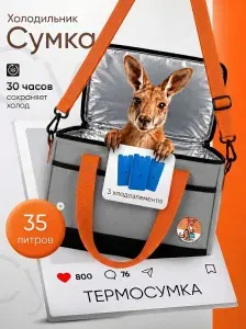 Термосумка / 35 Литров / +3 Хладоэлемента