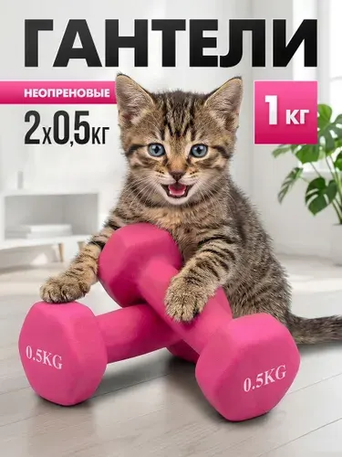 Гантели неопреновые БЛИН-да-ГРИФ розовые, 0,5 кг, 2 шт