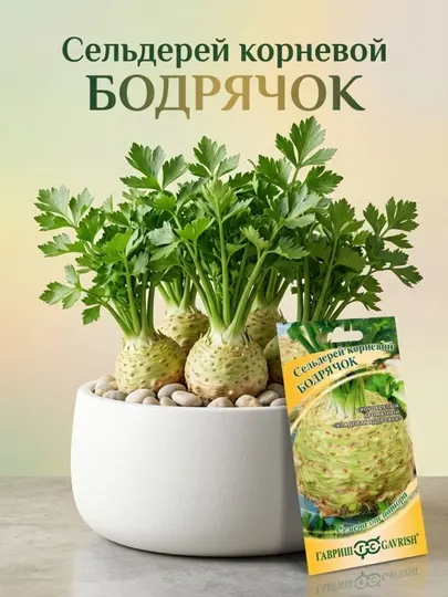 Семена сельдерей корневой бодрячок, 0.1 г