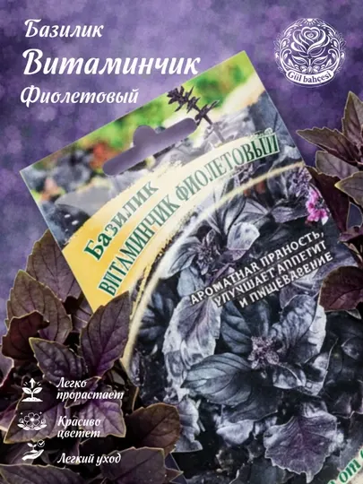 Семена базилик витаминчик фиолетовый, Гавриш, семена от автора, 1071856086, 0.1 г