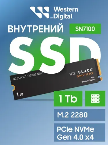 Western Digital 1 ТБ Внутренний SSD-диск WDS100T4X0E, M.2, PCI-E 4.0 (WDS100T4X0E)