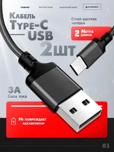 Кабель для мобильных устройств Type-C/USB 2.0 Type-A, 2 м, черный 2ШТ