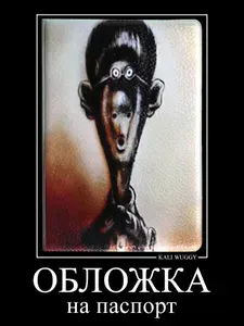 Обложка на паспорт Джимми Гокинс