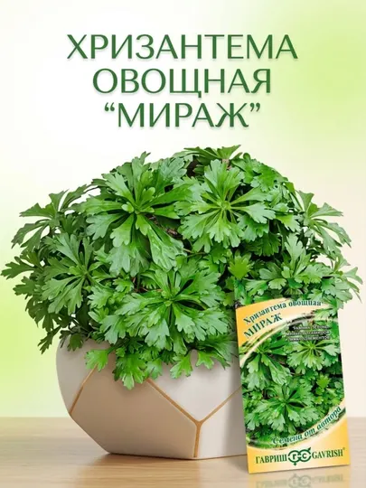 Семена Хризантема овощная Мираж, 1.0г, Гавриш, семена от автора 00001444