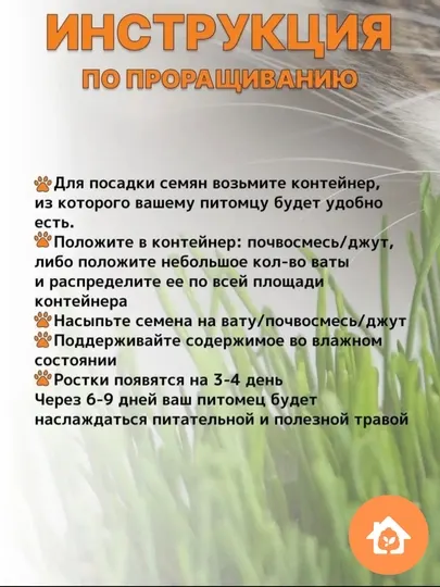 Трава для кошек, попугаев, грызунов