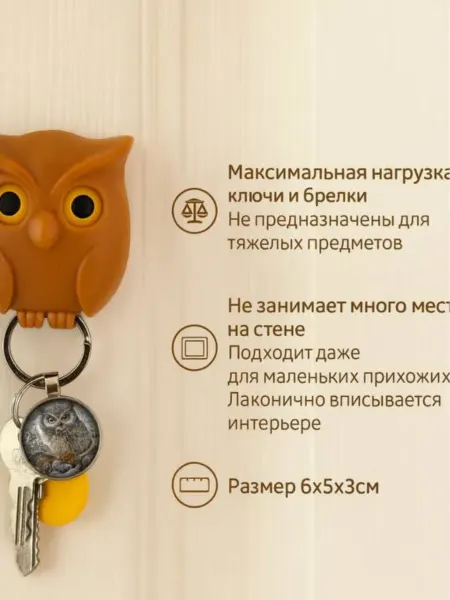 Айч1 Ключница магнитная настенная для дома сова