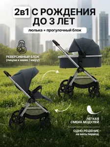 Agex Детская коляска 2 в 1 Life 2026, чёрная