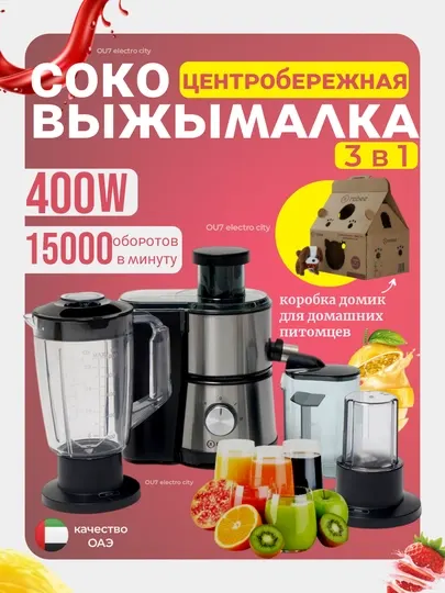 Многофункциональная Соковыжималка для овощей и фруктов, блендер кофемолка 3/1 Rabee RG-100