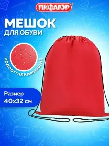Сумка - мешок, рюкзак для сменной обуви (сменки) Пифагор, 1 отделение, 40х32 см, красный