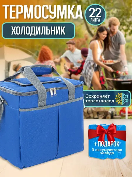 Сумка холодильник с аккумуляторами холода 22л