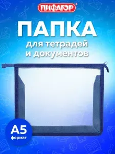 Папка для тетрадей, труда и документов А5 для мальчика и девочки на молнии прозрачная синяя, канцелярия для школы, 1 отделение, пластик, Пифагор