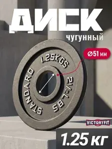 Диск 51 мм. чугунный окрашенный 1,25 кг (модель: D4)