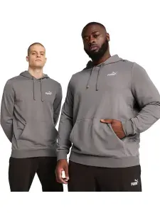 Худи PUMA Essentials Small No. 1 Logo Hoodie Men