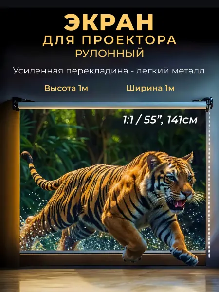 Gozhy Экран для проектора рулонный 1 х 1 м