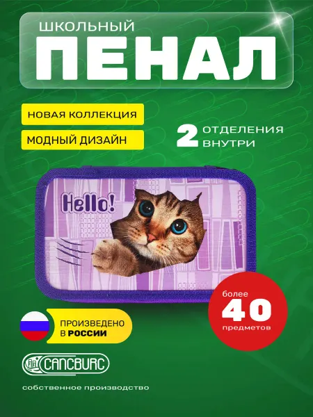 Cancburg Пенал школьный, 2 отделения