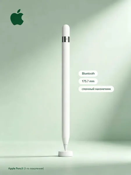 Apple Pencil для iPad 1-го поколения