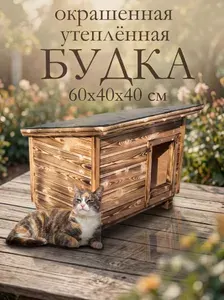 Домик будка для кошек уличный утеплённый, для 1-2 кошек, окрашенный обожжёный, зимняя конура, до 25см в холке, размер 60х40х40см