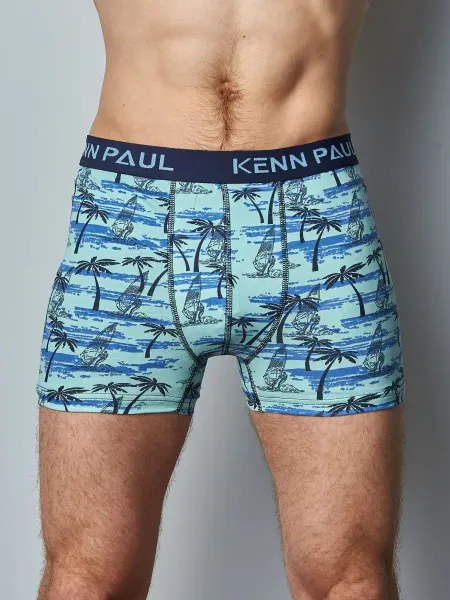 H&V KENN PAUL Трусы боксеры