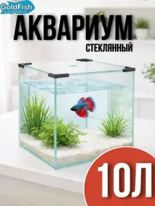 Аквариум куб 10 литров для рыбок с крышкой