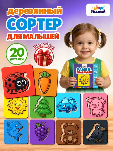 МИР ЗНАНИЙ Развивающая игра сортер вкладыш для малышей 10 цветов