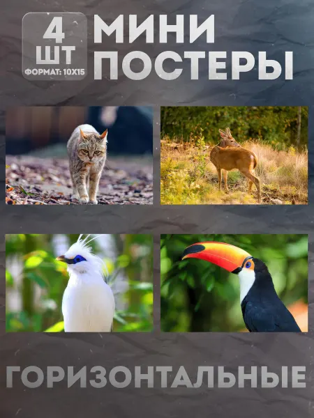 KraSSell Мини постеры 10 на 15 (набор) «Животные» 4 шт
