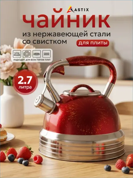 Astix Чайник со свистком для плиты из нержавеющей стали 2.7л