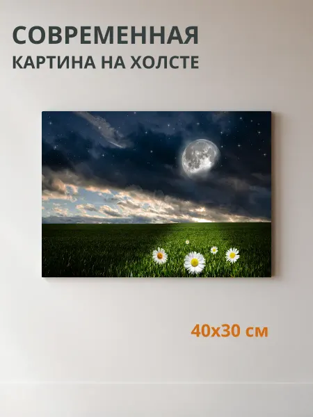 DZiVA Картина на холсте Фэнтези 40x30 см