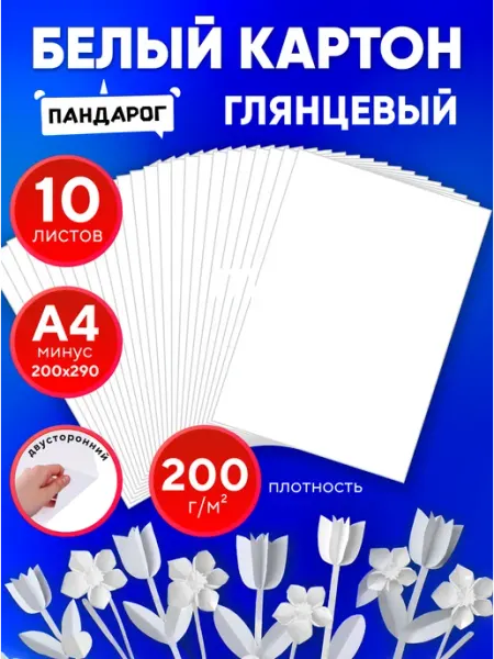 ПандаРог Белый картон для школы А4 глянцевый двусторонний, 10 листов