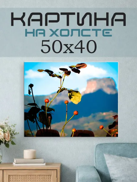 ПринтСтори Картина на стену 50х40 Природа