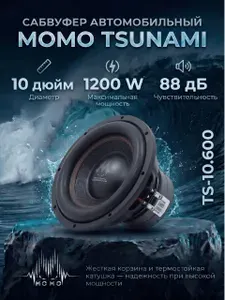 Сабвуфер автомобильный TS-10.600 10 дюймов