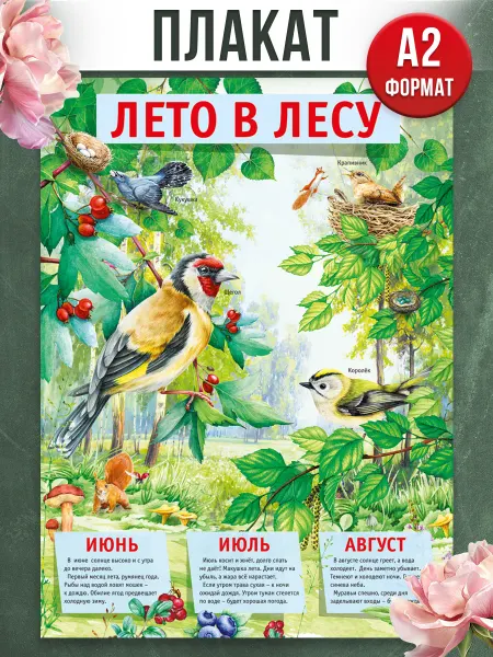 ТМ Мир поздравлений Плакат оформление в школу детский сад Лето в лесу