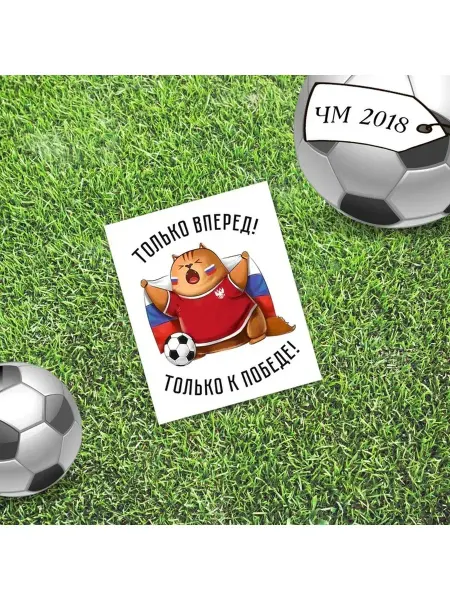 Happy Pirate Открытка мини одинарная "Футбол", котик, 9 х 10 см