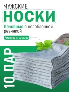 Носки мужские Класcик, 10 пар